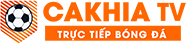 oto vinfast
